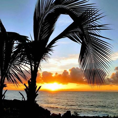 Pahoa Paradise Palms מראה חיצוני תמונה