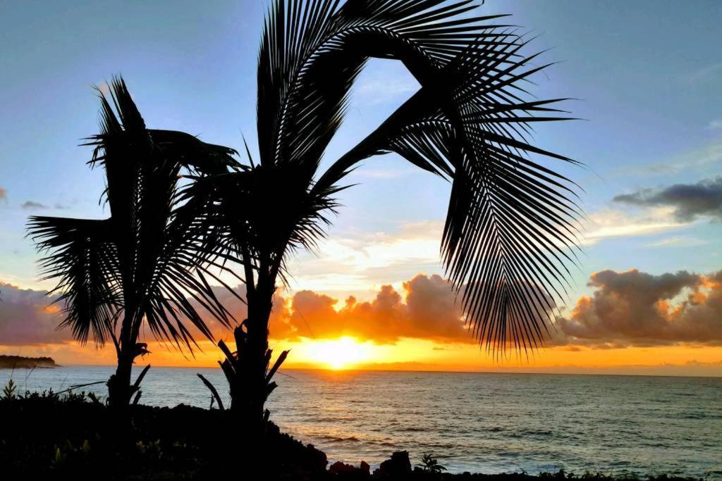 Pahoa Paradise Palms מראה חיצוני תמונה